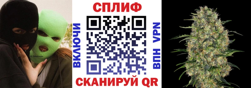 Бошки Шишки THC 21%  как найти закладки  Октябрьск 